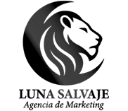 Agencia de Marketing