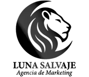 Agencia de Marketing